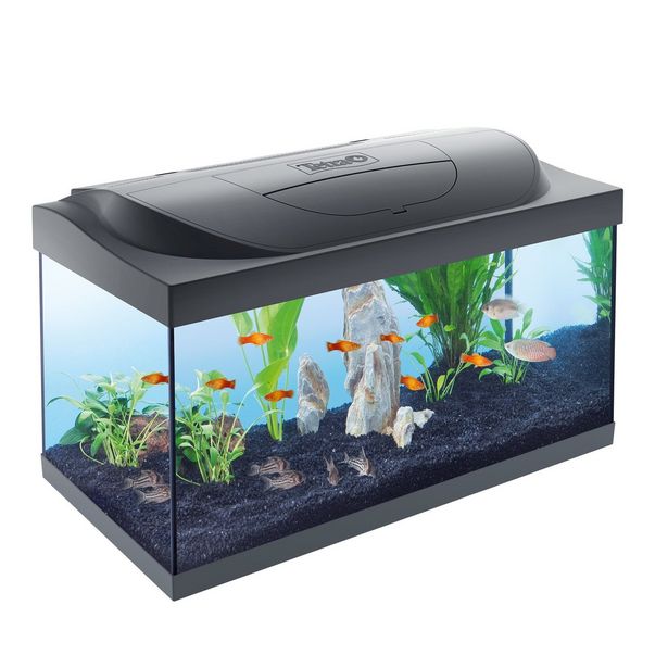Tetra aquarium Starter Line LED 54 L offre à 74,99€