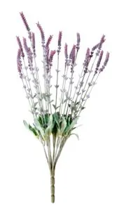 PURPLE Boeket lavendel paars offre à 12,95€ sur Casa