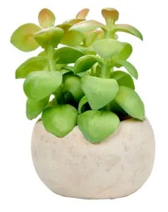 STONE Kunstvetplant in pot groen offre à 2,5€ sur Casa