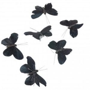 Papillon noir x6  offre à 4,4€ sur GiFi