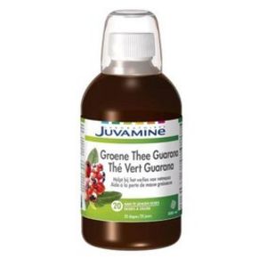 Thé Vert Guarana - 20 doses à diluer offre à 9,39€ sur Di