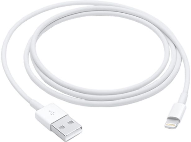 APPLE Câble USB - Lightning 1 m (MXLY2ZM/A) offre à 24€