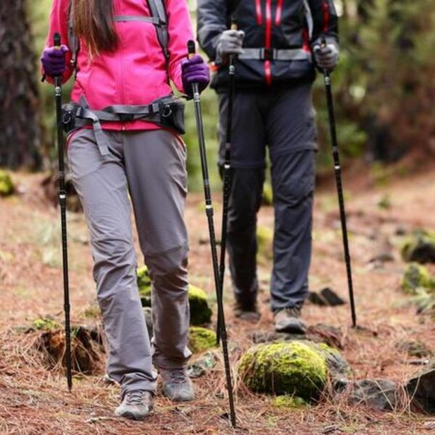 Bâtons de randonnée en aluminium 69-136cm | Bâtons de marche nordique, trekking offre à 30,99€ sur Decathlon