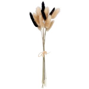 Bouquet fleurs séchées beiges et noires offre à 7,98€ sur Maisons du Monde